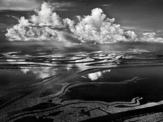 Salgado proietta Amazzonia su basilica di San Francesco Il Cortile di Francesco
