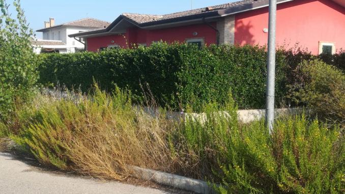In via Campo Grande a Petrignano di Assisi c'è il bosco, proteste
