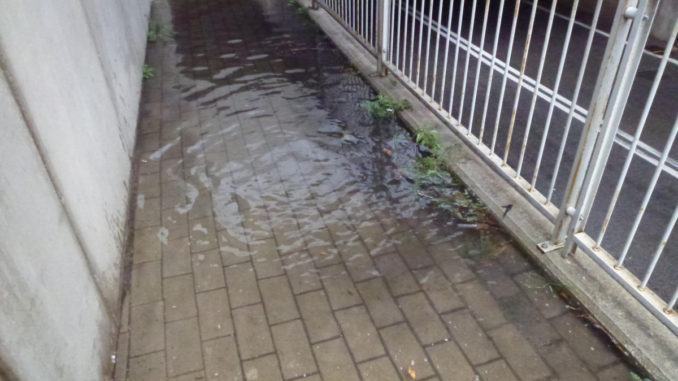 E poi ... non si dica che questo Comune fa acqua da tutte le parti