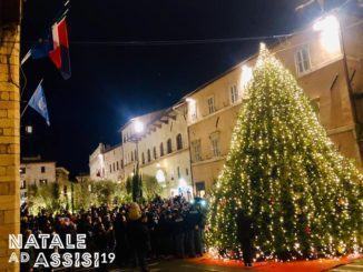 Acceso l'albero di Natale di piazza del Comune ad Assisi, è l'Ecoalbero