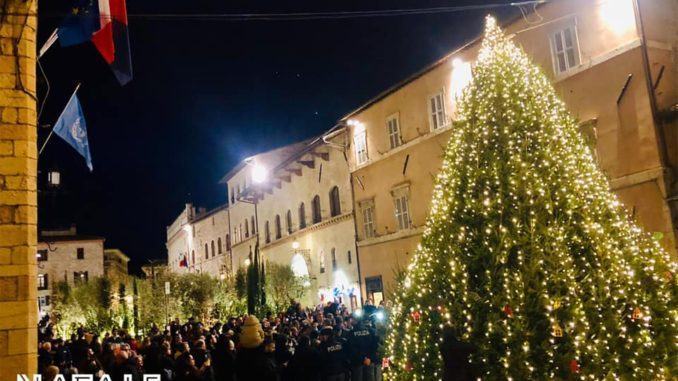 Acceso l'albero di Natale di piazza del Comune ad Assisi, è l'Ecoalbero Acceso l'albero di Natale di piazza del Comune ad Assisi, è l'Ecoalbero