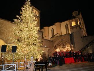 Acceso l'albero di Natale in piazza san Francesco ad Assisi | Video e foto