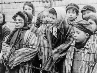 Giorno della memoria Mille passi oltre il filo, pensieri da Auschwitz