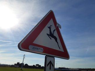 Sticker art, lo street artist Jeppettu colpisce un ancora