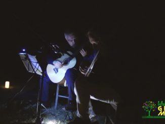 Concerto della Buonanotte Bosco di San Francesco di Assisi Green Music