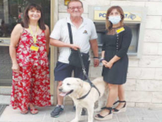 Polizza assicurativa per il cane, "fa parte della nostra famiglia"