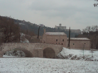 Aspettando il Natale al bosco di san Francesco