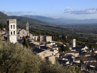 Fratelli d’Italia Assisi. Michele Leonelli è il nuova Coordinatore