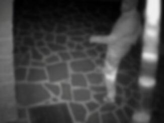 Sconosciuto in giardino, "mi sono perso", era un ladro, denunciato 73enne