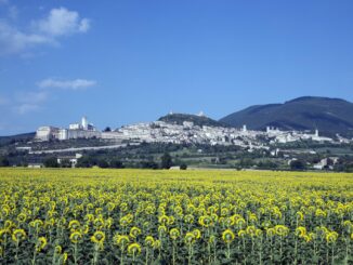 Casolari di campagna, vecchie capanne dismesse, pezzi di terreno incolti