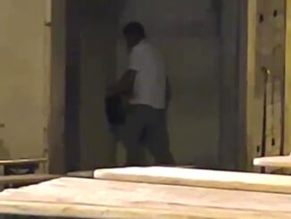 Fanno sesso in mezzo alla gente, accade a Viole durante un evento