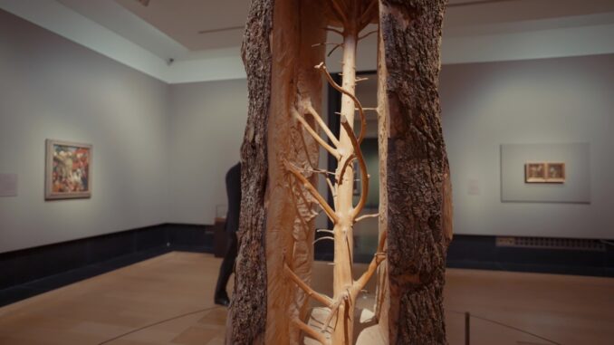 San Francesco a Londra, in anteprima la grande mostra