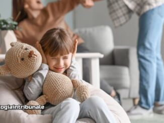 Protocollo d'Intesa per il Contrastare la Violenza Assistita a Assisi