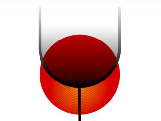ViniVeri Assisi 2024, esperienza con 200 etichette di vino artigianale