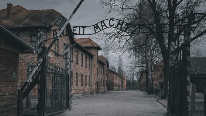 Giornata della Memoria, Birkenau, proiezione di cortometraggio