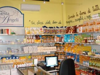 Servizio civile, nove posti a disposizione in diocesi