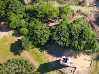 Un Appello alla Generosità per il Bosco di San Francesco