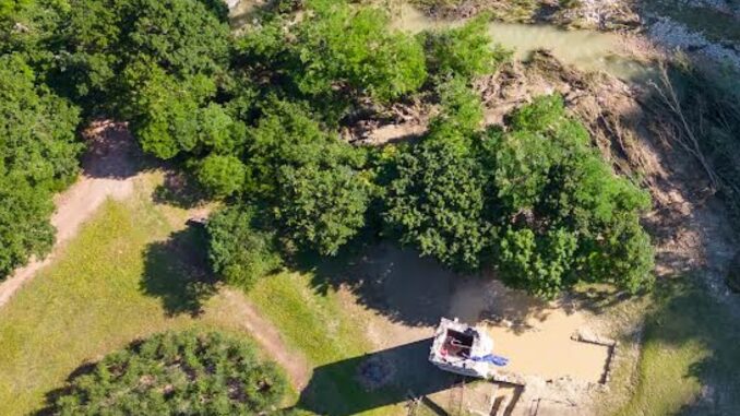 Un Appello alla Generosità per il Bosco di San Francesco