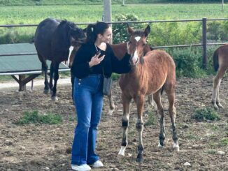 Francesca Manzini fra i cavalli e il paradiso terrestre di Sergio Carfagna