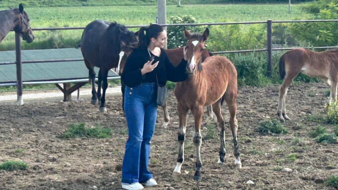 Francesca Manzini fra i cavalli e il paradiso terrestre di Sergio Carfagna