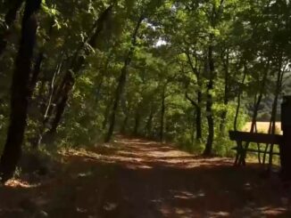 Camminate nella Biodiversità: Esplorazione della Natura Italiana
