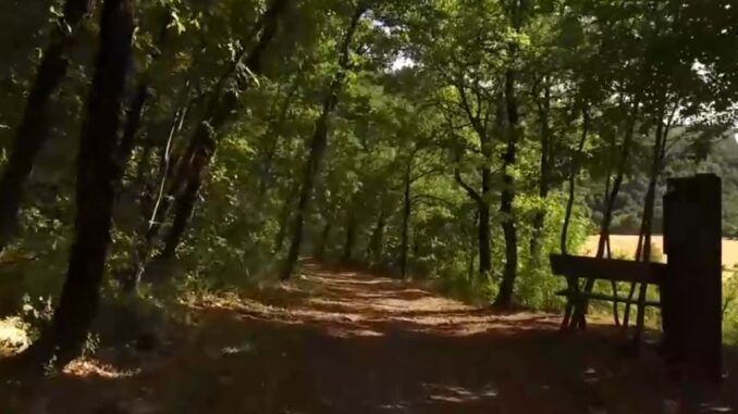 Camminate nella Biodiversità: Esplorazione della Natura Italiana
