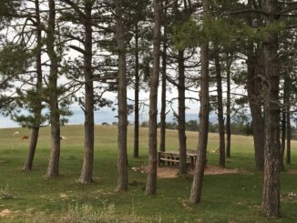I Sindaci dei Comuni del Parco del Monte Subasio si Incontrano