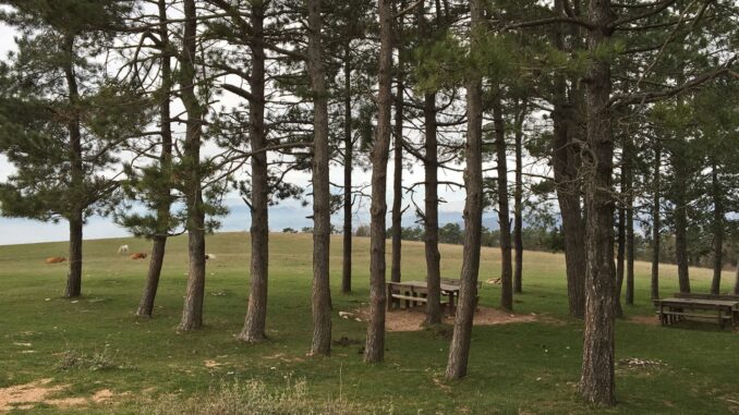 I Sindaci dei Comuni del Parco del Monte Subasio si Incontrano I Sindaci dei Comuni del Parco del Monte Subasio si Incontrano