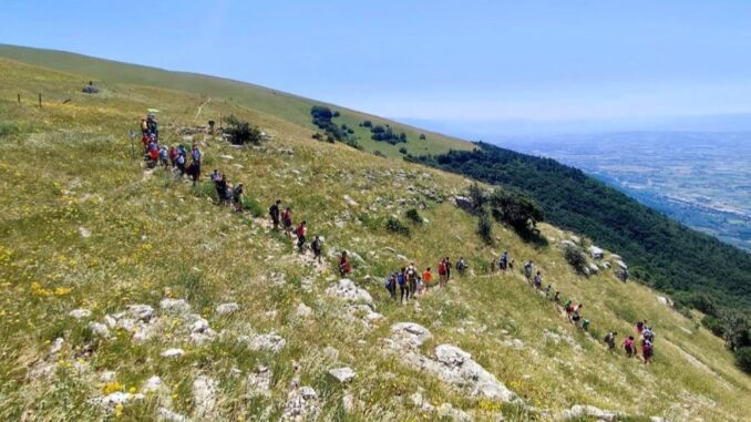 Assisi e AFOR: accordo per il Parco del Monte Subasio