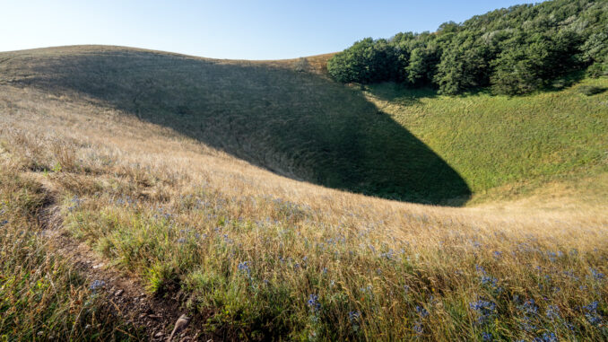 Assisi Estate 2024: Un viaggio di scoperta attraverso il Monte Subasio Assisi Estate 2024: Un viaggio di scoperta attraverso il Monte Subasio