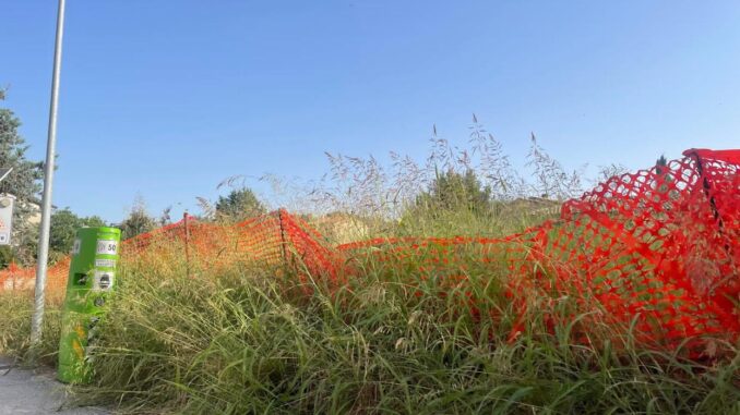 Il Comune di Assisi impone la pulizia dei terreni incendi