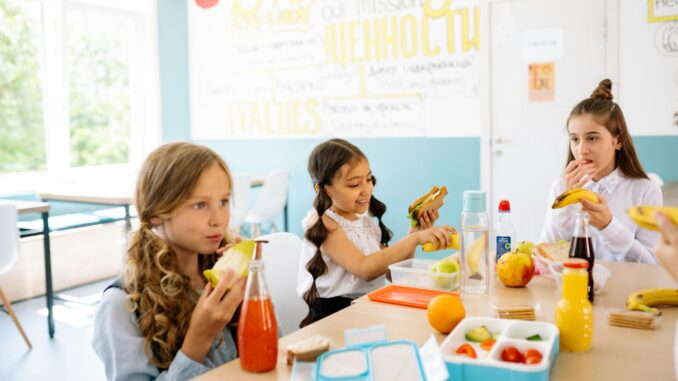 Iscrizioni aperte per servizi di mensa e trasporto scolastico