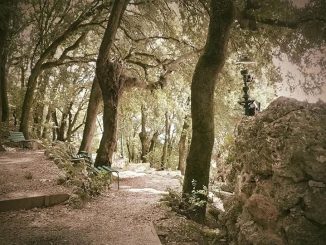 Laboratorio teatrale per bambini al Pincio di Assisi
