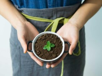 Convegni su agricoltura sociale a Perugia e Assisi