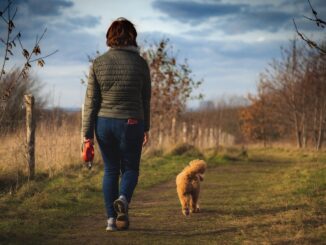 Cammino per gli Animali: da Assisi a Roma in 200 km