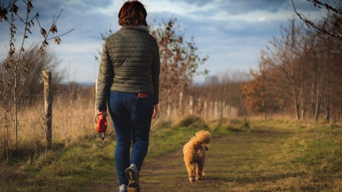 Cammino per gli Animali: da Assisi a Roma in 200 km