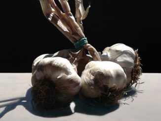 Duca in mostra ad Assisi: "Luce ritrovata" al Nun Museum