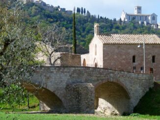 Meeting Nazionale Fondazione Sorella Natura: Assisi e Roma in Agenda