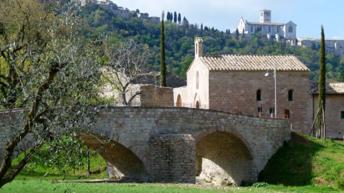 Meeting Nazionale Fondazione Sorella Natura: Assisi e Roma in Agenda
