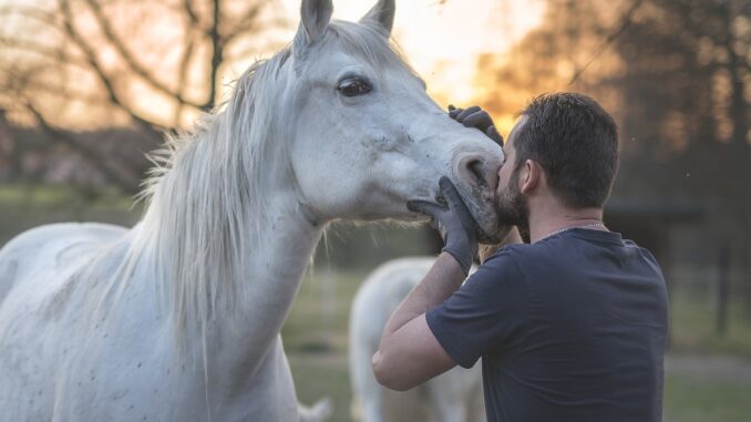 Sport equestri e inclusione: Assisi accoglie il convegno Fise Sport equestri e inclusione: Assisi accoglie il convegno Fise