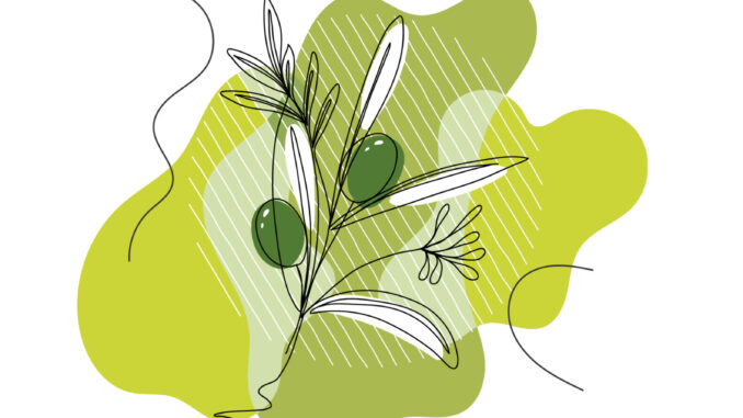 UNTO 2024. Assisi in festa per l'olio e la mostra mercato