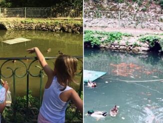 Forza Italia Giovani denuncia il degrado del Parco del Pincio