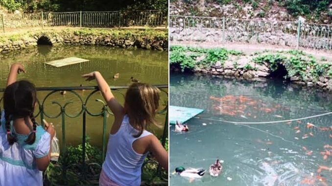 Forza Italia Giovani denuncia il degrado del Parco del Pincio