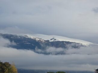 Attivazione Piano Neve