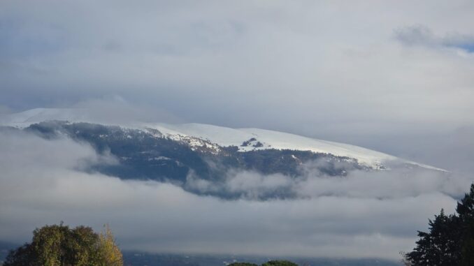 Attivazione Piano Neve