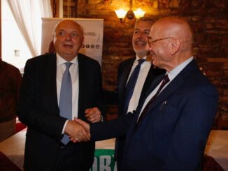 Cicogna ottiene impegno del Governo sulle fonderie Tacconi