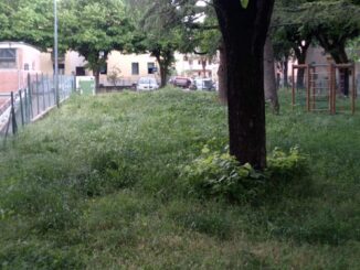  Mancano manutenzione e attenzione, luoghi trascurati