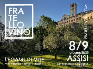 Fratello Vino, ad Assisi debutta l’evento dei vignaioli