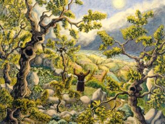 "Il grido delle Creature", Covili in mostra ad Assisi