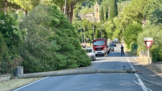 Cade albero su palo a Tordibetto, blackout in più zone